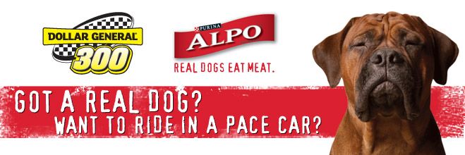 Alpo Logo